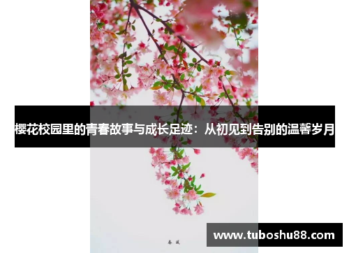 樱花校园里的青春故事与成长足迹：从初见到告别的温馨岁月
